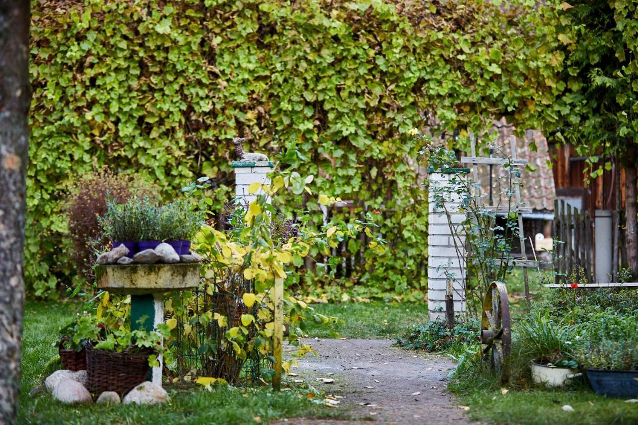 Ferienwohnung Siedlisko Przystanek Szczescie Piasutno Exterior foto