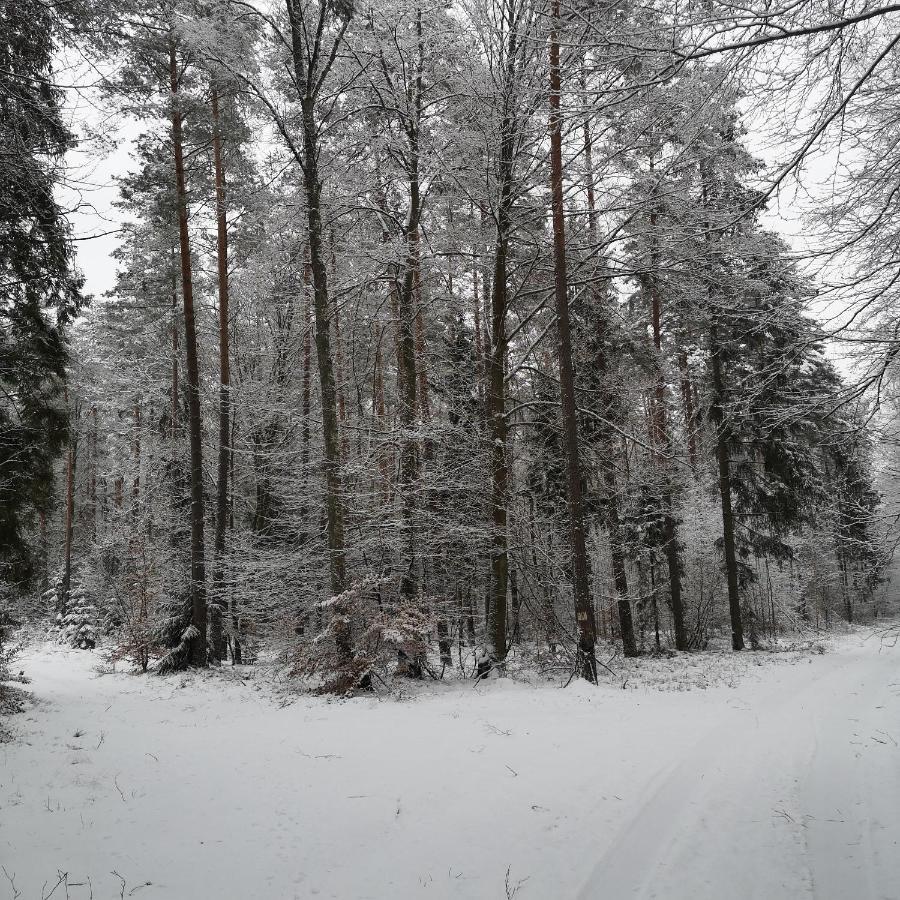 Ferienwohnung Siedlisko Przystanek Szczescie Piasutno Exterior foto